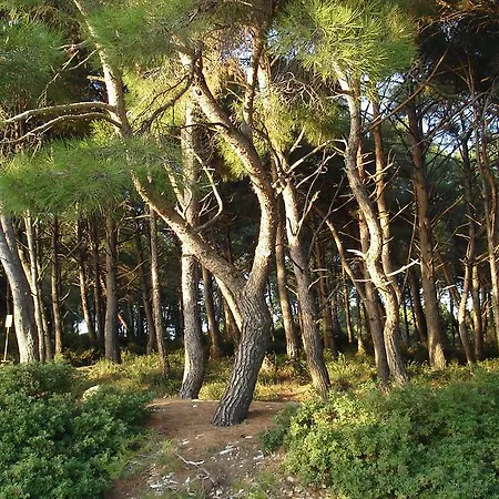 In Pula/istrien 11456 아파트 풀라